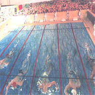 Painting of swimmers